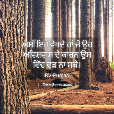 Picture 05 - ਇਬਰਾਨੀ 3:19 PANIRV - ਅਸੀਂ ਇਹ ਵੇਖਦੇ ਹਾਂ - Bible Verse Picture