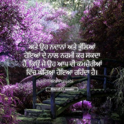 Picture 05 - ਇਬਰਾਨੀ 5:2 PANIRV - ਅਤੇ ਉਹ ਨਦਾਨਾਂ ਅਤੇ - Bible Verse Picture
