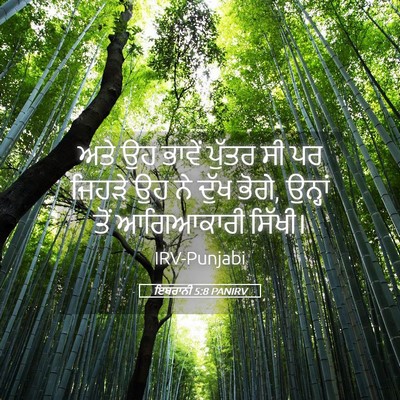 Picture 05 - ਇਬਰਾਨੀ 5:8 PANIRV - ਅਤੇ ਉਹ ਭਾਵੇਂ ਪੁੱਤਰ - Bible Verse Picture