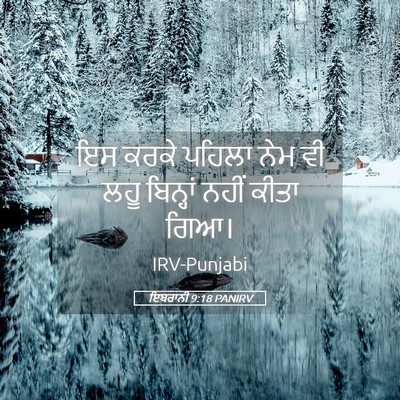 Picture 05 - ਇਬਰਾਨੀ 9:18 PANIRV - ਇਸ ਕਰਕੇ ਪਹਿਲਾ ਨੇਮ - Bible Verse Picture