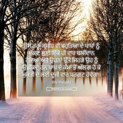 Picture 05 - ਇਬਰਾਨੀ 9:28 PANIRV - ਉਸ ਤਰ੍ਹਾਂ ਮਸੀਹ ਵੀ - Bible Verse Picture