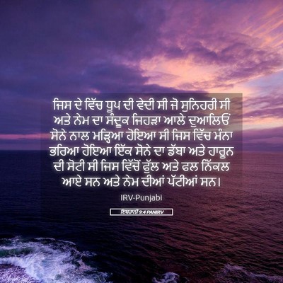 Picture 05 - ਇਬਰਾਨੀ 9:4 PANIRV - ਜਿਸ ਦੇ ਵਿੱਚ ਧੂਪ ਦੀ - Bible Verse Picture
