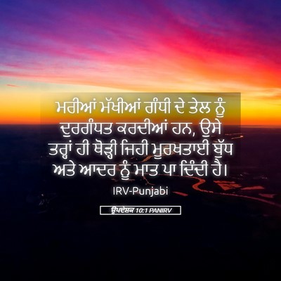 Picture 05 - ਉਪਦੇਸ਼ਕ 10:1 PANIRV - ਮਰੀਆਂ ਮੱਖੀਆਂ ਗੰਧੀ - Bible Verse Picture