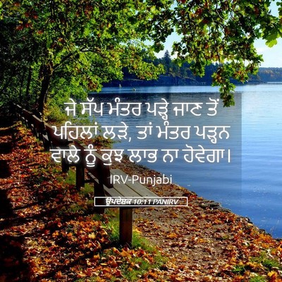 Picture 05 - ਉਪਦੇਸ਼ਕ 10:11 PANIRV - ਜੇ ਸੱਪ ਮੰਤਰ ਪੜ੍ਹੇ - Bible Verse Picture