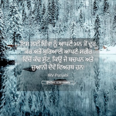 Picture 05 - ਉਪਦੇਸ਼ਕ 11:10 PANIRV - ਇਸ ਲਈ ਚਿੰਤਾ ਨੂੰ - Bible Verse Picture