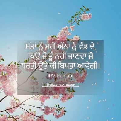 Picture 05 - ਉਪਦੇਸ਼ਕ 11:2 PANIRV - ਸੱਤਾਂ ਨੂੰ ਸਗੋਂ - Bible Verse Picture