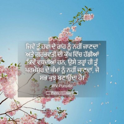 Picture 05 - ਉਪਦੇਸ਼ਕ 11:5 PANIRV - ਜਿਵੇਂ ਤੂੰ ਹਵਾ ਦੇ - Bible Verse Picture
