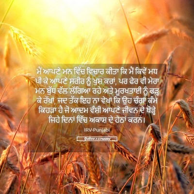 Picture 05 - ਉਪਦੇਸ਼ਕ 2:3 PANIRV - ਮੈਂ ਆਪਣੇ ਮਨ ਵਿੱਚ - Bible Verse Picture