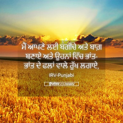 Picture 05 - ਉਪਦੇਸ਼ਕ 2:5 PANIRV - ਮੈਂ ਆਪਣੇ ਲਈ ਬਗੀਚੇ - Bible Verse Picture