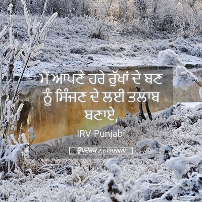 Picture 05 - ਉਪਦੇਸ਼ਕ 2:6 PANIRV - ਮੈਂ ਆਪਣੇ ਹਰੇ - Bible Verse Picture