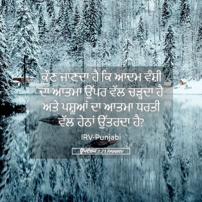 Picture 05 - ਉਪਦੇਸ਼ਕ 3:21 PANIRV - ਕੌਣ ਜਾਣਦਾ ਹੈ ਕਿ ਆਦਮ - Bible Verse Picture