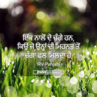 Picture 05 - ਉਪਦੇਸ਼ਕ 4:9 PANIRV - ਇੱਕ ਨਾਲੋਂ ਦੋ ਚੰਗੇ - Bible Verse Picture