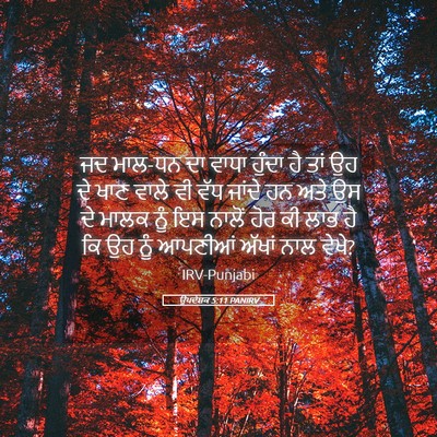 Picture 05 - ਉਪਦੇਸ਼ਕ 5:11 PANIRV - ਜਦ ਮਾਲ-ਧਨ ਦਾ ਵਾਧਾ - Bible Verse Picture