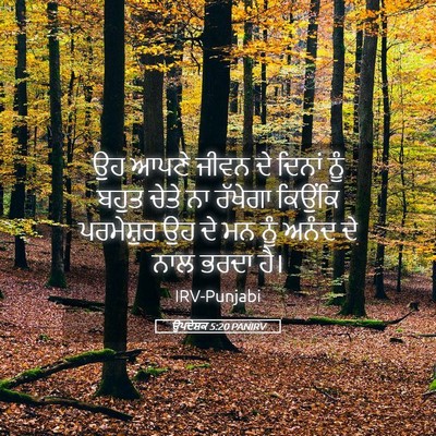 Picture 05 - ਉਪਦੇਸ਼ਕ 5:20 PANIRV - ਉਹ ਆਪਣੇ ਜੀਵਨ ਦੇ - Bible Verse Picture