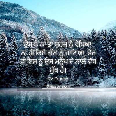 Picture 05 - ਉਪਦੇਸ਼ਕ 6:5 PANIRV - ਉਸ ਨੇ ਨਾ ਤਾਂ ਸੂਰਜ - Bible Verse Picture