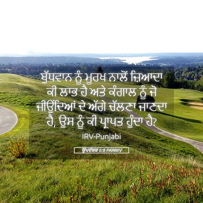 Picture 05 - ਉਪਦੇਸ਼ਕ 6:8 PANIRV - ਬੁੱਧਵਾਨ ਨੂੰ ਮੂਰਖ - Bible Verse Picture