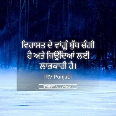 Picture 05 - ਉਪਦੇਸ਼ਕ 7:11 PANIRV - ਵਿਰਾਸਤ ਦੇ ਵਾਂਗੂੰ - Bible Verse Picture