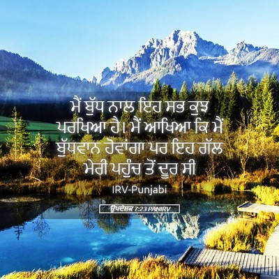 Picture 05 - ਉਪਦੇਸ਼ਕ 7:23 PANIRV - ਮੈਂ ਬੁੱਧ ਨਾਲ ਇਹ ਸਭ - Bible Verse Picture