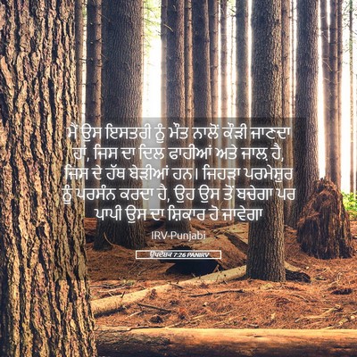 Picture 05 - ਉਪਦੇਸ਼ਕ 7:26 PANIRV - ਮੈਂ ਉਸ ਇਸਤਰੀ ਨੂੰ - Bible Verse Picture