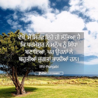 Picture 05 - ਉਪਦੇਸ਼ਕ 7:29 PANIRV - ਵੇਖੋ, ਮੈਂ ਸਿਰਫ਼ ਇਹੋ - Bible Verse Picture