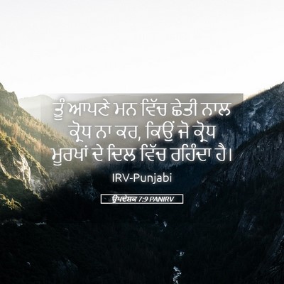 Picture 05 - ਉਪਦੇਸ਼ਕ 7:9 PANIRV - ਤੂੰ ਆਪਣੇ ਮਨ ਵਿੱਚ - Bible Verse Picture