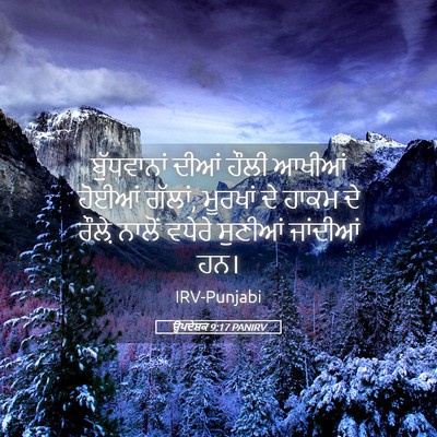 Picture 05 - ਉਪਦੇਸ਼ਕ 9:17 PANIRV - ਬੁੱਧਵਾਨਾਂ ਦੀਆਂ - Bible Verse Picture