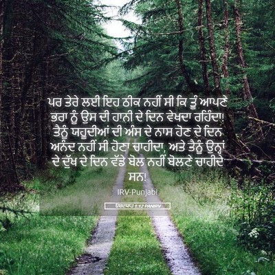 Picture 05 - ਓਬਦਯਾਹ 1:12 PANIRV - ਪਰ ਤੇਰੇ ਲਈ ਇਹ ਠੀਕ - Bible Verse Picture