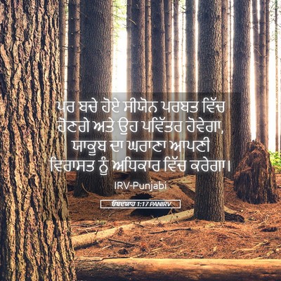 Picture 05 - ਓਬਦਯਾਹ 1:17 PANIRV - ਪਰ ਬਚੇ ਹੋਏ ਸੀਯੋਨ - Bible Verse Picture