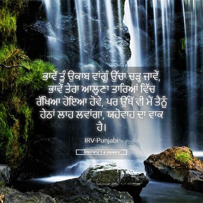 Picture 05 - ਓਬਦਯਾਹ 1:4 PANIRV - ਭਾਵੇਂ ਤੂੰ ਉਕਾਬ - Bible Verse Picture