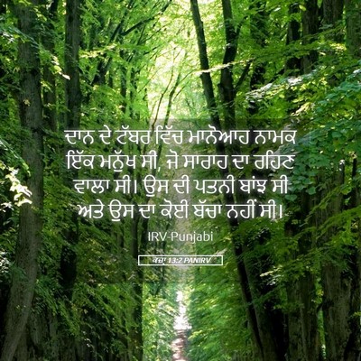 Picture 05 - ਕਜ਼ਾૃ 13:2 PANIRV - ਦਾਨ ਦੇ ਟੱਬਰ ਵਿੱਚ - Bible Verse Picture
