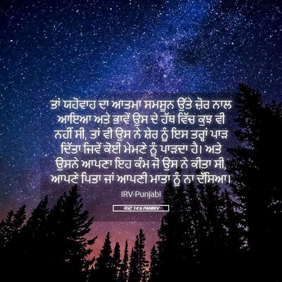 Picture 05 - ਕਜ਼ਾૃ 14:6 PANIRV - ਤਾਂ ਯਹੋਵਾਹ ਦਾ ਆਤਮਾ - Bible Verse Picture