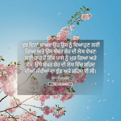 Picture 05 - ਕਜ਼ਾૃ 14:8 PANIRV - ਕੁਝ ਦਿਨਾਂ ਬਾਅਦ ਉਹ - Bible Verse Picture