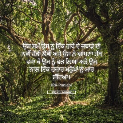 Picture 05 - ਕਜ਼ਾૃ 15:15 PANIRV - ਉਸ ਸਮੇਂ ਉਸ ਨੂੰ ਇੱਕ - Bible Verse Picture
