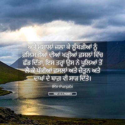 Picture 05 - ਕਜ਼ਾૃ 15:5 PANIRV - ਅਤੇ ਮਸ਼ਾਲਾਂ ਜਲਾ ਕੇ - Bible Verse Picture