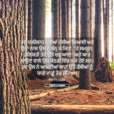 Picture 05 - ਕਜ਼ਾૃ 16:12 PANIRV - ਤਦ ਦਲੀਲਾਹ ਨਵੀਆਂ - Bible Verse Picture