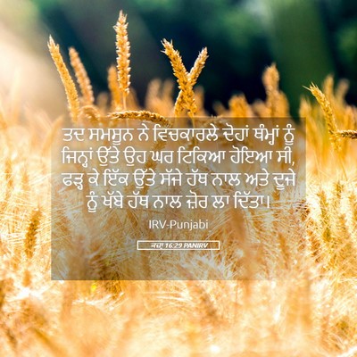 Picture 05 - ਕਜ਼ਾૃ 16:29 PANIRV - ਤਦ ਸਮਸੂਨ ਨੇ - Bible Verse Picture