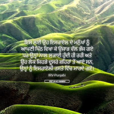 Picture 05 - ਕਜ਼ਾૃ 20:42 PANIRV - ਇਸ ਲਈ ਉਹ ਇਸਰਾਏਲ ਦੇ - Bible Verse Picture