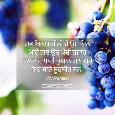 Picture 05 - ਕਜ਼ਾૃ 20:46 PANIRV - ਸਭ ਬਿਨਯਾਮੀਨੀ ਜੋ ਉਸ - Bible Verse Picture