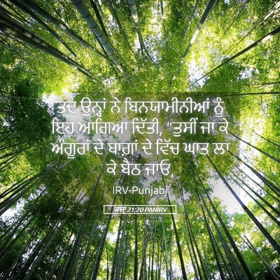 Picture 05 - ਕਜ਼ਾૃ 21:20 PANIRV - ਤਦ ਉਨ੍ਹਾਂ ਨੇ - Bible Verse Picture