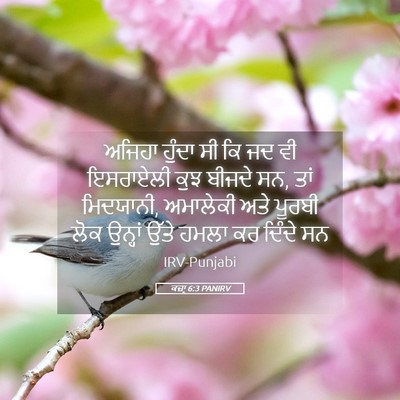 Picture 05 - ਕਜ਼ਾૃ 6:3 PANIRV - ਅਜਿਹਾ ਹੁੰਦਾ ਸੀ ਕਿ - Bible Verse Picture