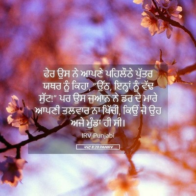 Picture 05 - ਕਜ਼ਾૃ 8:20 PANIRV - ਫੇਰ ਉਸ ਨੇ ਆਪਣੇ - Bible Verse Picture