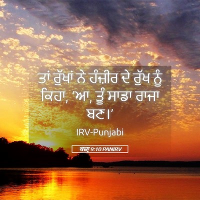 Picture 05 - ਕਜ਼ਾૃ 9:10 PANIRV - ਤਾਂ ਰੁੱਖਾਂ ਨੇ - Bible Verse Picture