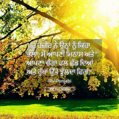 Picture 05 - ਕਜ਼ਾૃ 9:11 PANIRV - ਪਰ ਹੰਜ਼ੀਰ ਨੇ - Bible Verse Picture