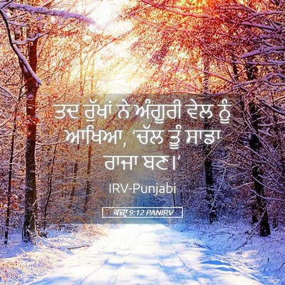 Picture 05 - ਕਜ਼ਾૃ 9:12 PANIRV - ਤਦ ਰੁੱਖਾਂ ਨੇ - Bible Verse Picture