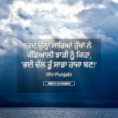 Picture 05 - ਕਜ਼ਾૃ 9:14 PANIRV - ਤਦ ਉਨ੍ਹਾਂ ਸਾਰਿਆਂ - Bible Verse Picture