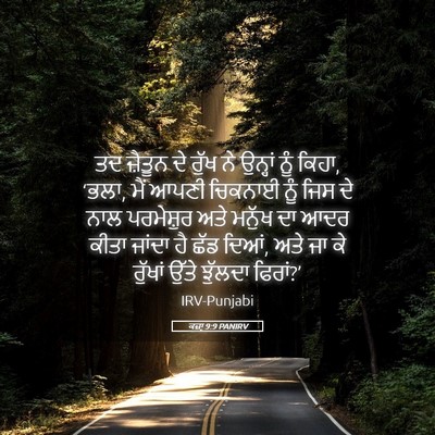 Picture 05 - ਕਜ਼ਾૃ 9:9 PANIRV - ਤਦ ਜ਼ੈਤੂਨ ਦੇ ਰੁੱਖ - Bible Verse Picture