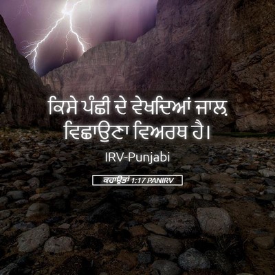Picture 05 - ਕਹਾਉਤਾਂ 1:17 PANIRV - ਕਿਸੇ ਪੰਛੀ ਦੇ - Bible Verse Picture