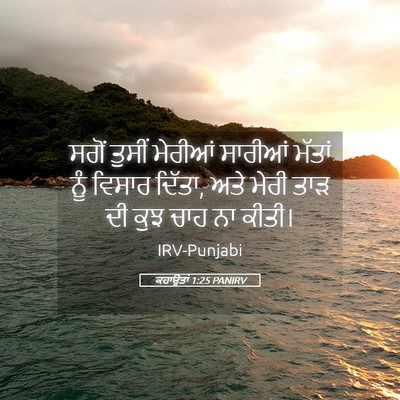 Picture 05 - ਕਹਾਉਤਾਂ 1:25 PANIRV - ਸਗੋਂ ਤੁਸੀਂ ਮੇਰੀਆਂ - Bible Verse Picture