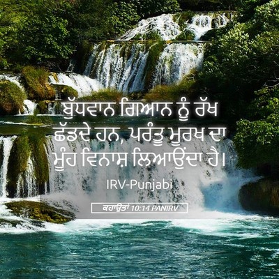 Picture 05 - ਕਹਾਉਤਾਂ 10:14 PANIRV - ਬੁੱਧਵਾਨ ਗਿਆਨ ਨੂੰ - Bible Verse Picture