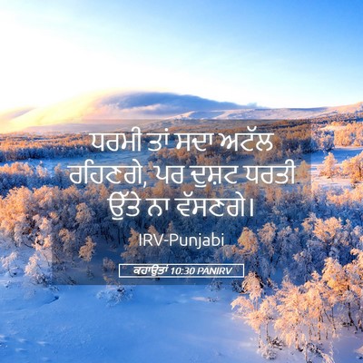 Picture 05 - ਕਹਾਉਤਾਂ 10:30 PANIRV - ਧਰਮੀ ਤਾਂ ਸਦਾ ਅਟੱਲ - Bible Verse Picture